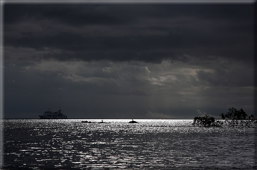 foto Isole Galapagos